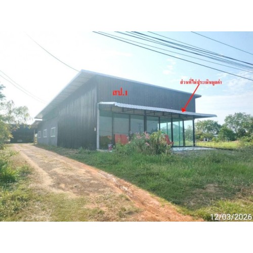 290437pic2