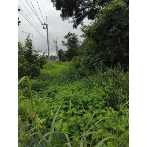 327739pic1