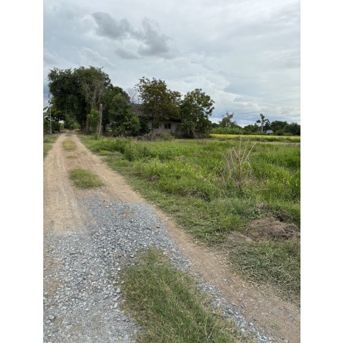 321502pic2
