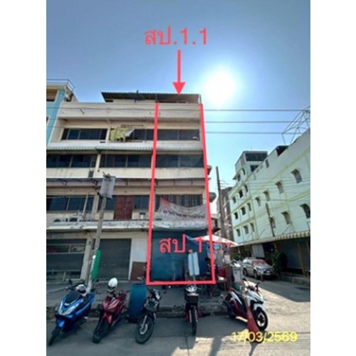 290301pic2