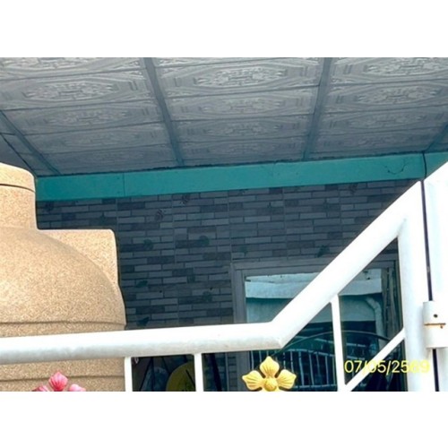 290296pic1