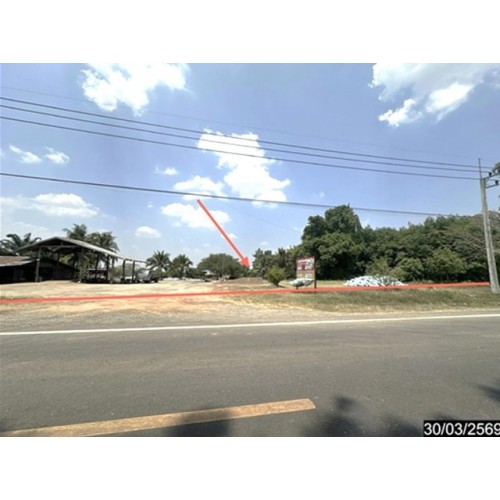 290452pic1