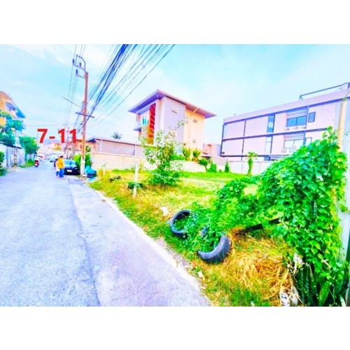 327654pic2