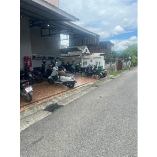 293069pic2