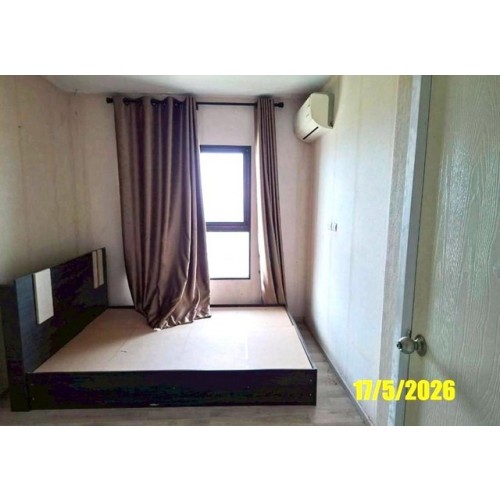 291859pic1