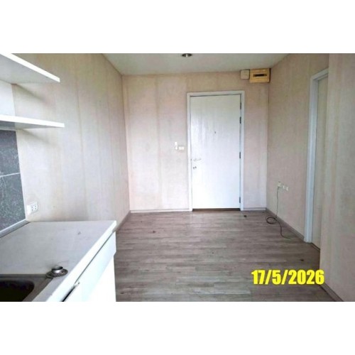 291859pic2