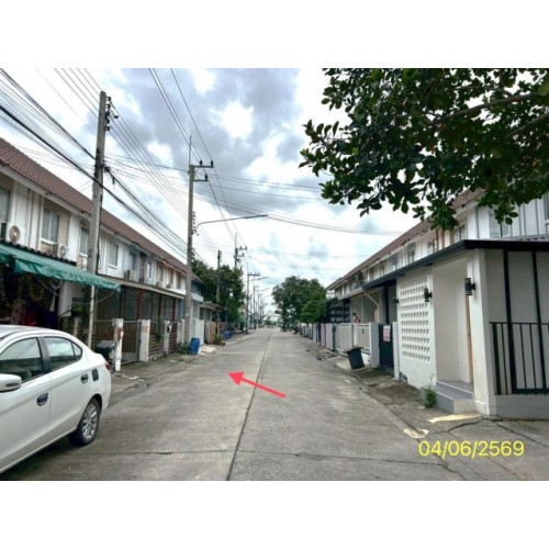 290390pic2