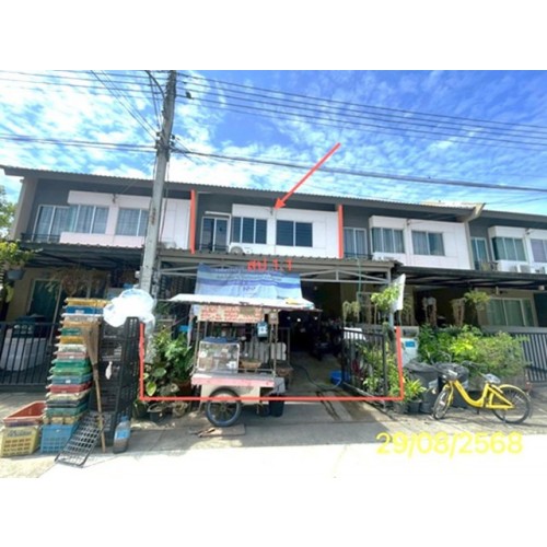 290379pic1