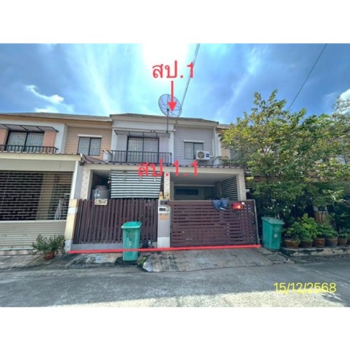290377pic1