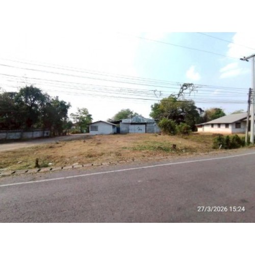 290548pic1