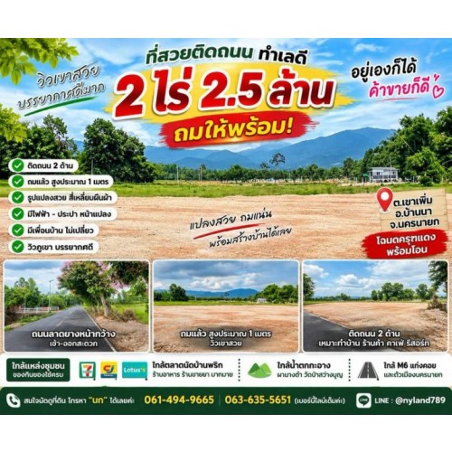 535341pic1
