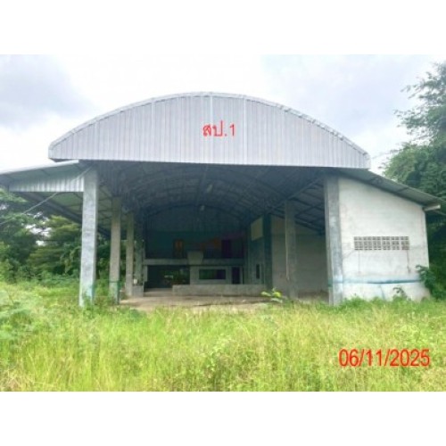 291591pic1