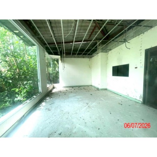 292928pic2