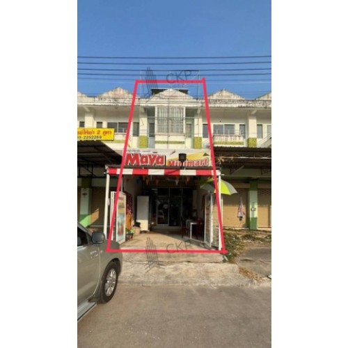296071pic1