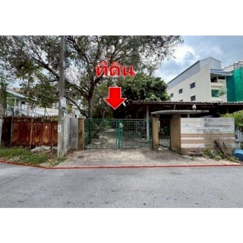 295043pic1