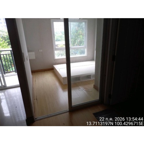 293052pic2