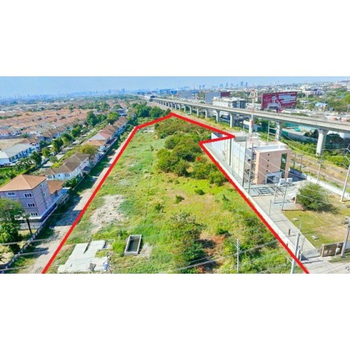 295118pic1