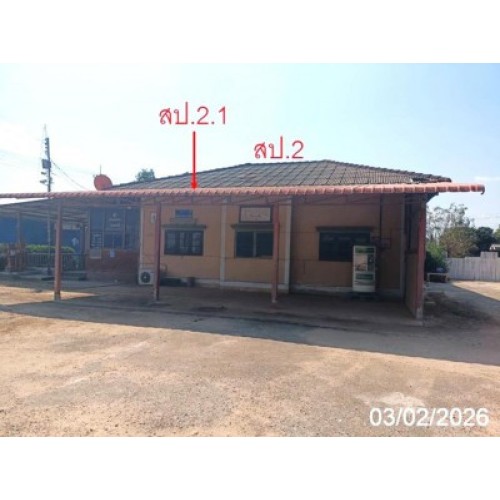 291710pic2