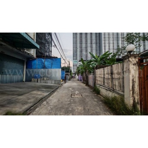 293183pic2