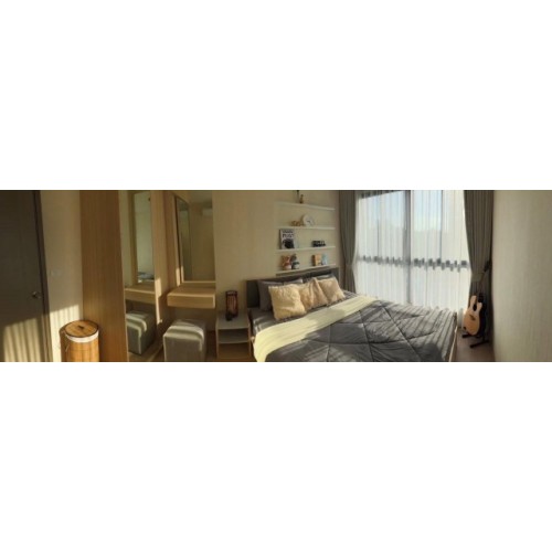 535772pic1