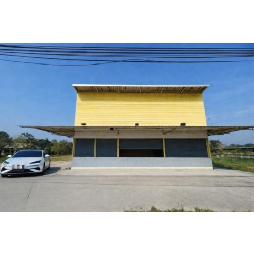 295186pic1