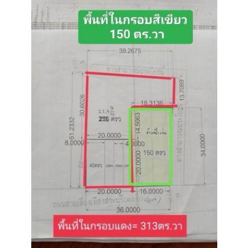 295185pic2