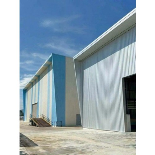 297309pic1