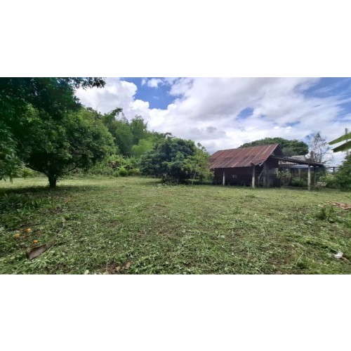 529064pic2
