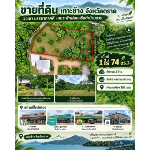 297349pic2
