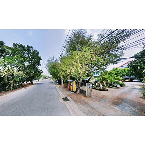 296771pic1