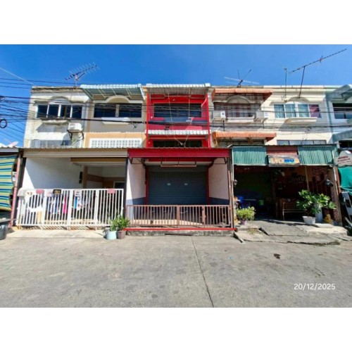 291568pic1