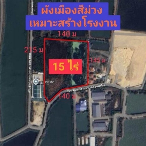 297409pic2