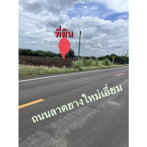 296240pic2