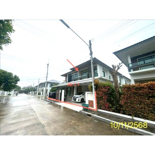 291817pic2