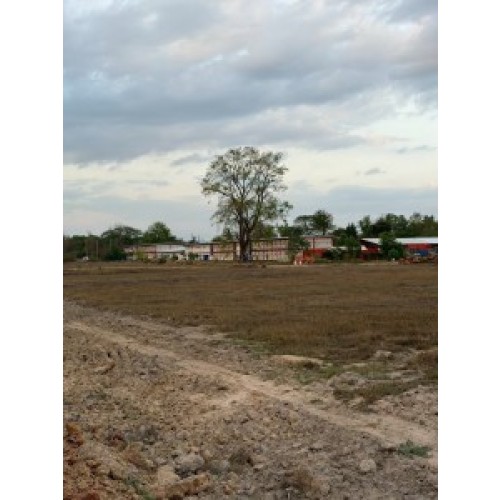 324632pic1