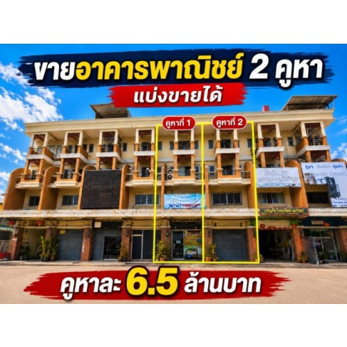297368pic1