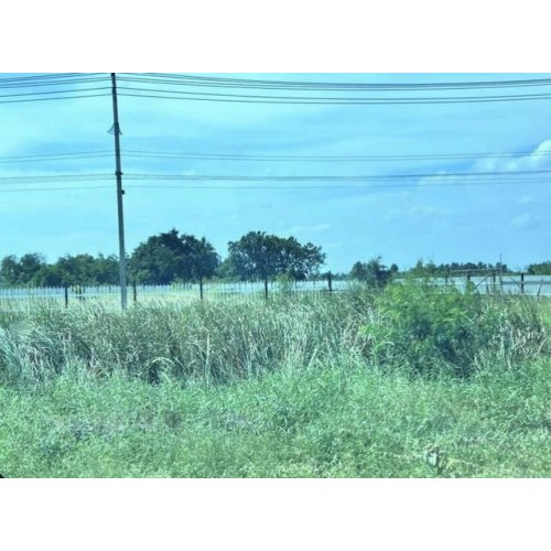 328670pic1