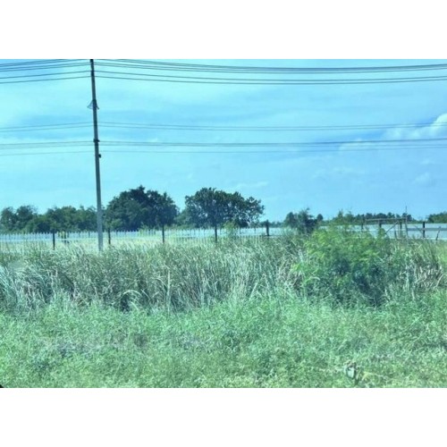 328664pic1
