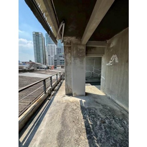 536181pic2