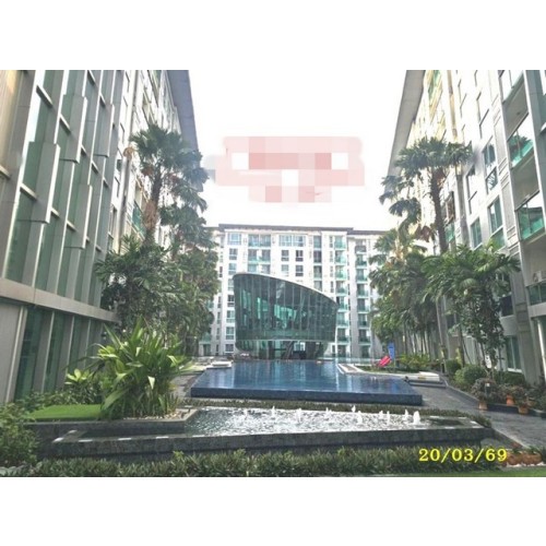 295212pic1