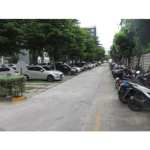 296149pic2