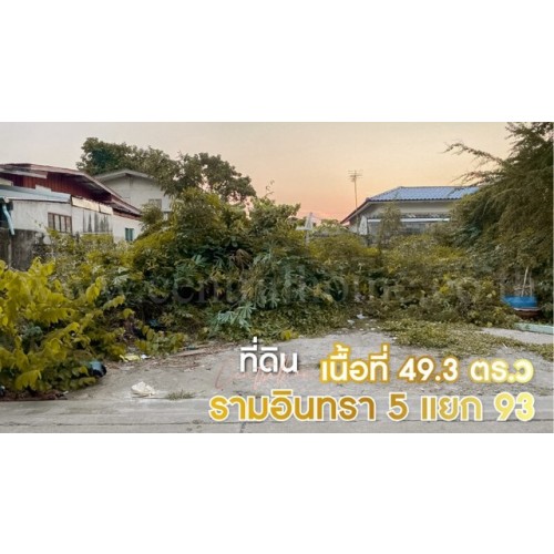 260929pic1