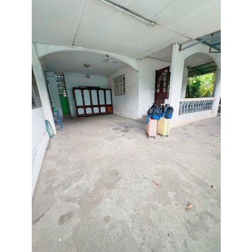 328881pic2