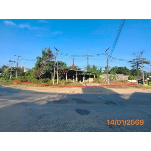 292914pic2