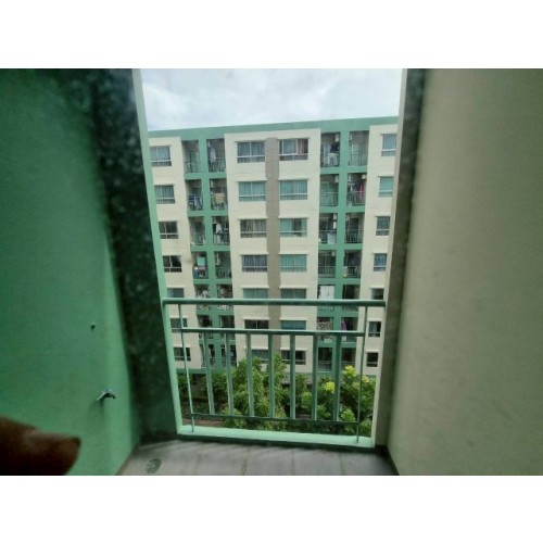 296382pic2
