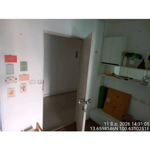 296405pic2