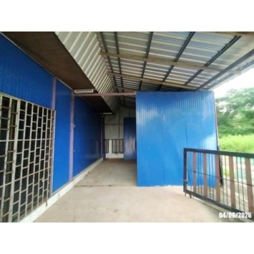 293097pic2