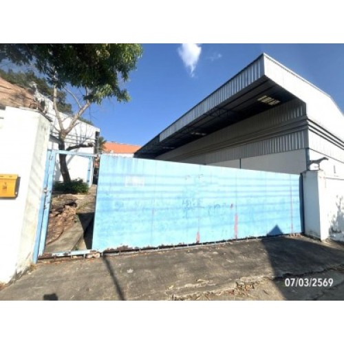 293118pic1