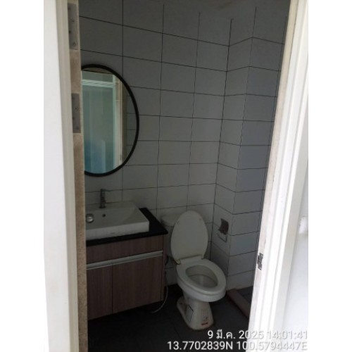 296496pic2