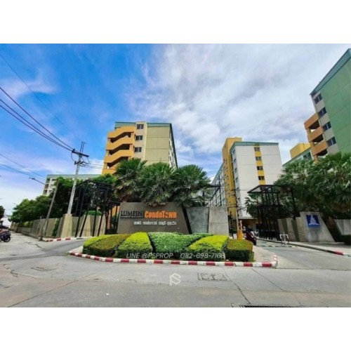 297644pic1
